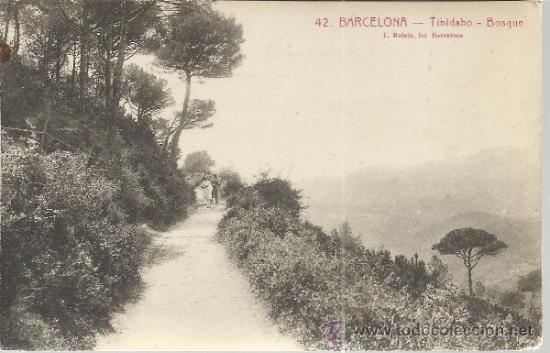 Postcards: BARCELONA TIBIDABO BOSQUE  SIN ESCRIBIR
