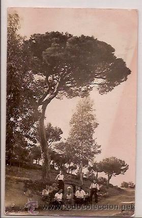 Postales: POST CARD LA PINEDA - Foto 1