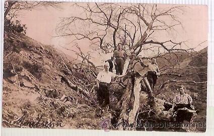 Postales: POST CARD VOLTANS POBLE DEL MONTSENY - Foto 1
