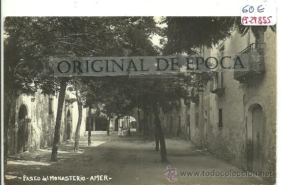 Postkarten: (PS-29855)POSTAL FOTOGRAFICA DE AMER-PASEO DEL MONASTERIO