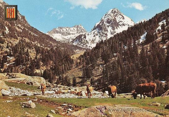 Postales: vall de bohi - parc nacional aig&uuml;es tortes - n&ordm; 27 - ed. esc.oro - sin circular - a&ntilde;o 1964 - x