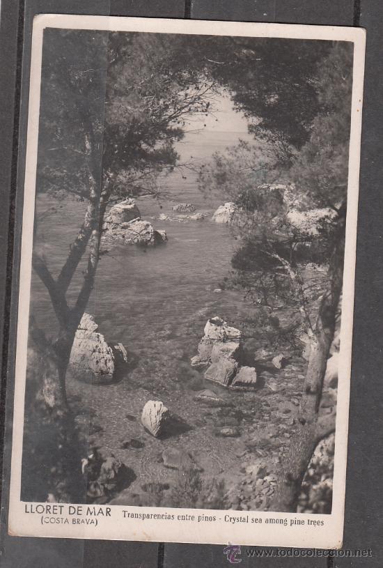 Postales: LLORET DE MAR. TRANSPARENCIAS ENTRE PINOS - Foto 1