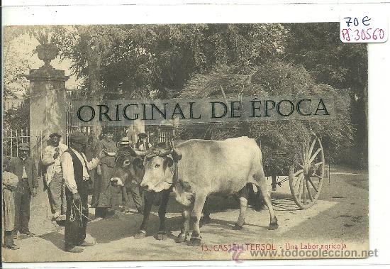 Postcards: (PS-30560)POSTAL DE CASTELLTERSOL-UNA LABOR AGRICOLA