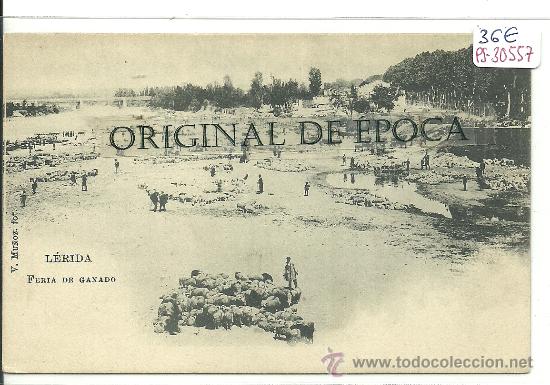 Postcards: (PS-30557)POSTAL DE LERIDA-FERIA DE GANADO