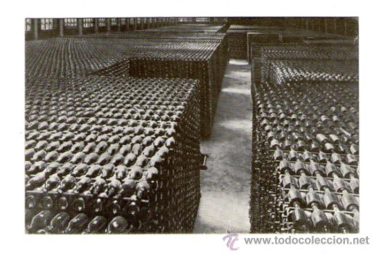 Postales: SAN SADURNI DE NOYA BOTELLAS ENVEJECIENDO CASA CODORNIU CAVA - SIN EDICI&Oacute;N - POSTAL
