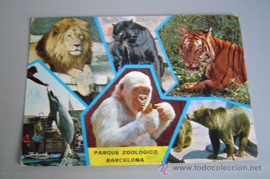 Postales: Postal de Barcelona - ZOO. - Foto 1