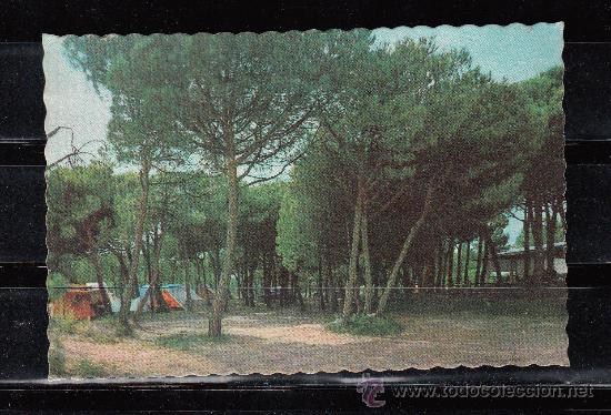 Postales: CASTELLDEFELS. CAMPING &rdquo;ESTRELLA DE MAR&rdquo; - Foto 1