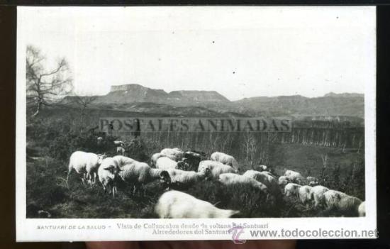 Postcards: a03090 Santuari De La Salut - Vista De Collsacabra Desde Els Voltans Del Santuari - Guilera