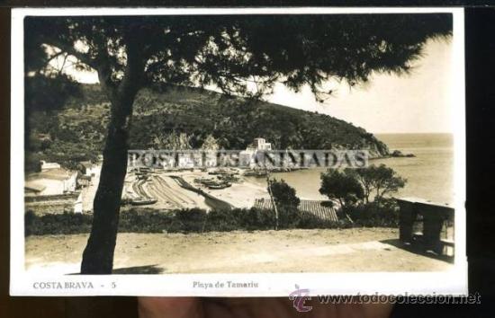 Cartes Postales: a03249 Tamariu - Playa De Tamariu - N&ordm;5
