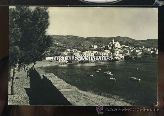Postcards: a00597 Cadaques - Desde Un Pinar Del Rocamar Hotel - Ubach N&ordm;42