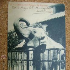 Postales: POSTAL CIRCULADA BARCELONA UPU Nº 33 PARQUE, EL ELEFANTE 1905