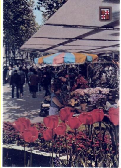 Postales: POSTAL BARCELONA N&ordm; 540. LES RAMBLES - Foto 1