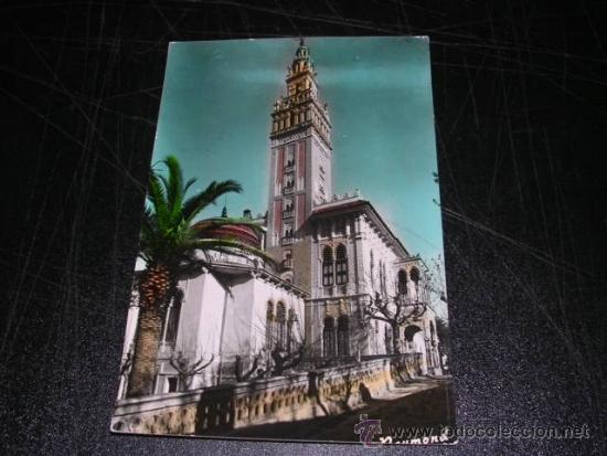 N 14 ARBOS - LA GIRALDA