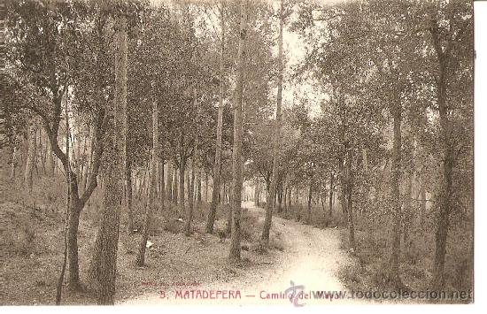 Postales: POSTAL MATADEPERA CAMINO DEL MAYOL - Foto 1