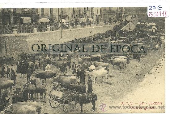 Postcards: (PS-31148)POSTAL DE GERONA-FERIAL DE GANADO