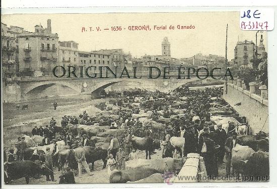 Postcards: (PS-31147)POSTAL DE GERONA-FERIAL DE GANADO