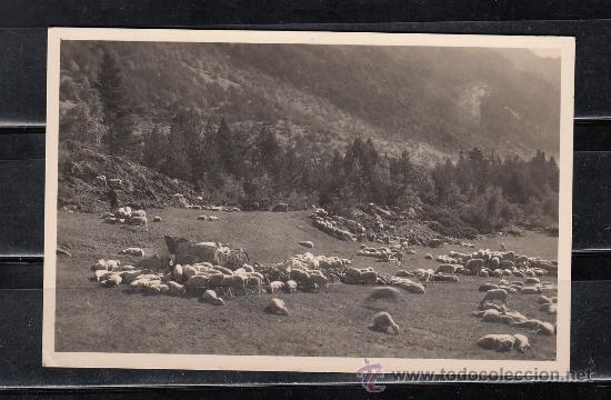 Postales: VALLE DE ESPOT. PAISAJE EN EL CAMINO DEL LAGOI SAN MAURICIO