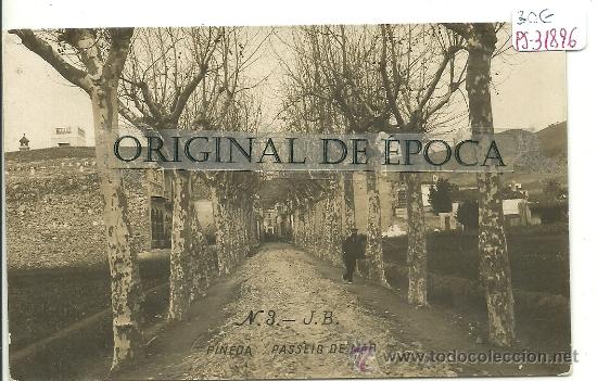 Postcards: (PS-31896)POSTAL FOTOGRAFICA DE PINEDA-PASSEIG DEL MAR