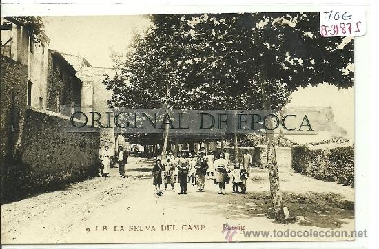 Postcards: (PS-31875)POSTAL FOTOGRAFICA DE LA SELVA DEL CAMP-PASEIG