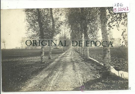 Postcards: (PS-32043)POSTAL FOTOGRAFICA DE EL PRAT-PAISAJE