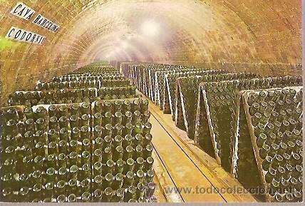 Postales: POSTAL A COLOR CAVAS CODORNIU BOTELLAS EN PUPITRE - Foto 1