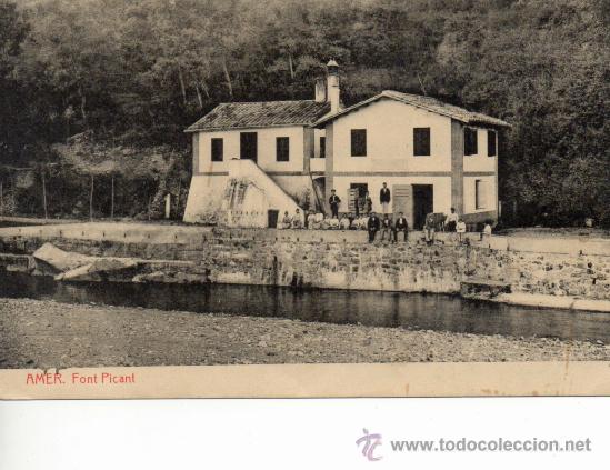 Postales: Amer. font picant. thomas - Foto 1