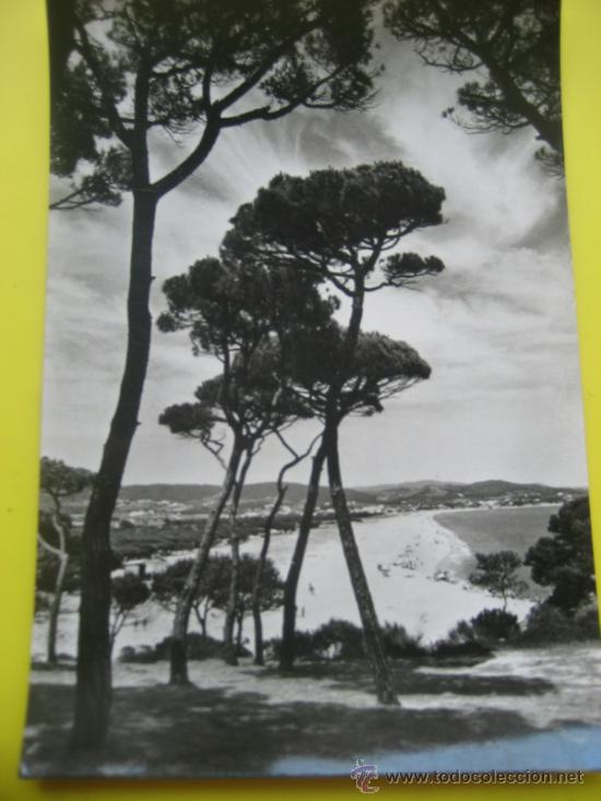 Postales: Playa de Aro. Costa Brava. N&ordm; 2. S-10. Detalle de la playa. Ed. Zerkowitz. Sin circular