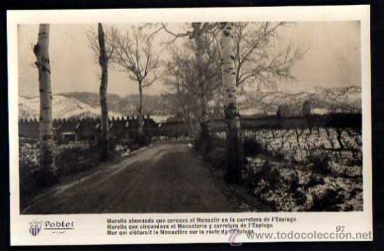 Postales: Poblet. 97. Ricard. No circulada - Foto 1