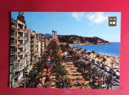 Postales: LLORET DE MAR - PASEO Y PALMERAS - Foto 1