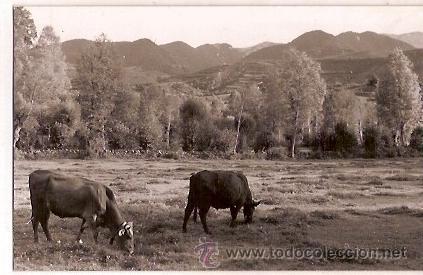 Postales: ANTIGUA POSTAL PRULLANS ESCRITA - Foto 1