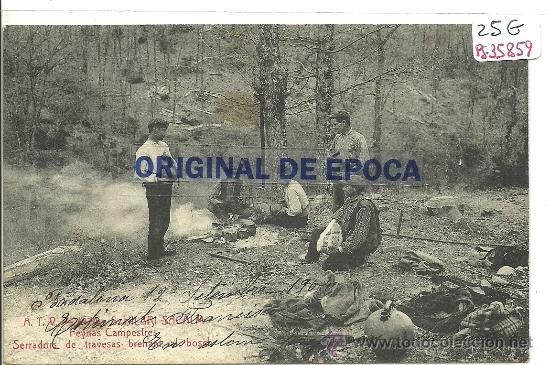 Postcards: (PS-35859)POSTAL DE SANT HILARI DE SACALM-FEYNAS CAMPESTRES.SERRADORS DE TRAVESAS