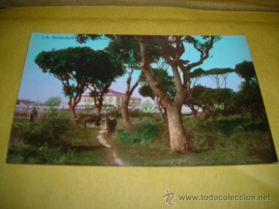 Postcards: J.B. SARDA&Ntilde;OLA - CASA CORDELLAS 2 POSTAL FOTOGRAFICA ILUMINADA CON ANILINAS 14X9 CM.