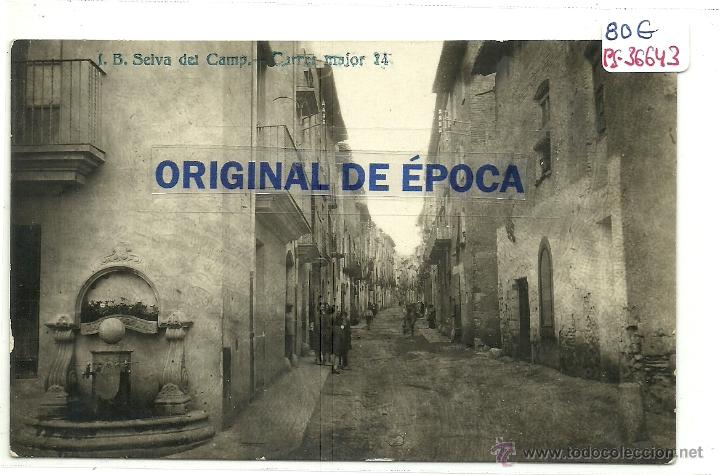 Postcards: (PS-36643))POSTAL FOTOGRAFICA DE SELVA DEL CAMP-CARRER MAJOR
