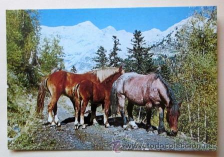 Postales: PIRINEO CATAL&Aacute;N - Foto 1