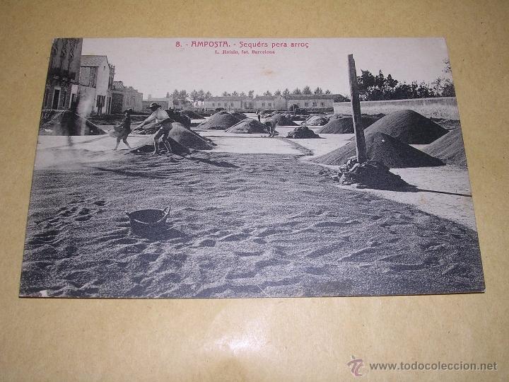 Postales: 8 .- AMPOSTA . SEQUERS PERA ARRO&Ccedil; - L. ROISIN FOT.4&ordf;EDC. CASA PI&Ntilde;ANA - 14X9 CM.