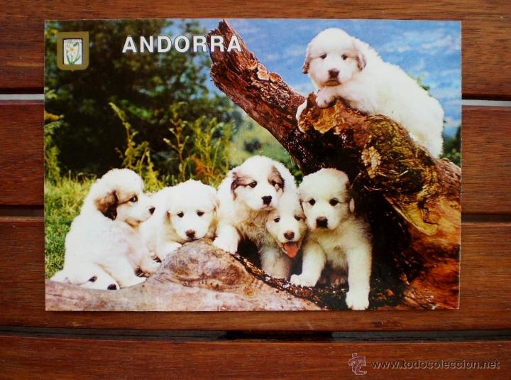 Postales: ANDORRA - PAISAJE DE MONTA&Ntilde;A - ESCUDO DE ORO 1982 - S/C