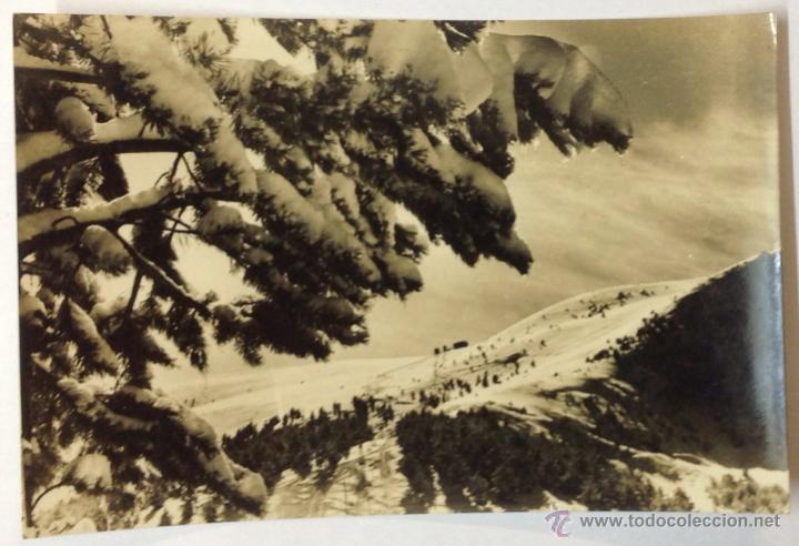 Postales: LA MOLINA. ALTA CERDA&Ntilde;A. PIRINEOS ORIENTALES. COSTA RASA DESDE COLL SIS&Eacute;. (CAMPA&Ntilde;&Aacute;).