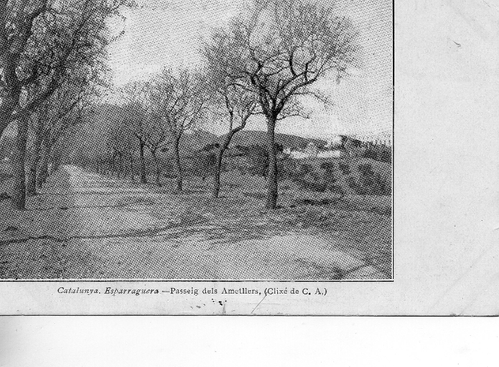 Cartes Postales: esparraguera. passeig dels ametllers