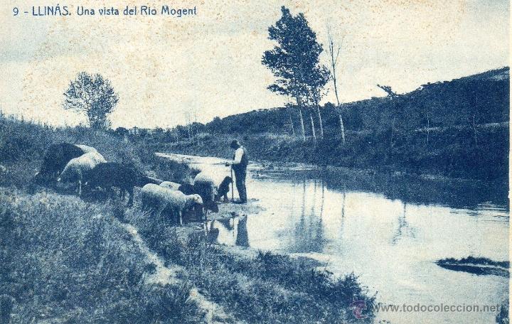 Postales: llin&aacute;s. 9 riu mogent. thomas - Foto 1