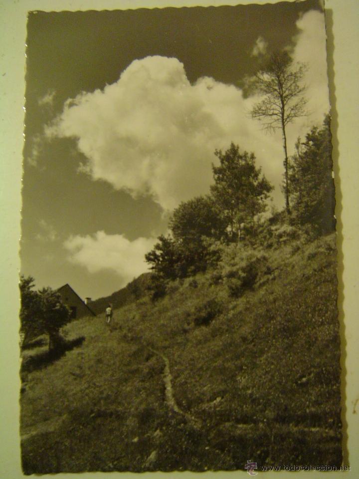 Postales: VALLE DE BOH&Iacute; (LLEIDA).- CALDAS DE BOHI- PAISAJE DE LOS ALREDEDORES.