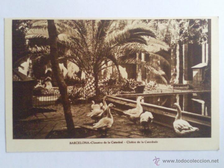 Postales: POSTAL BARCELONA, CLAUSTRO DE LA CATEDRAL - Foto 1