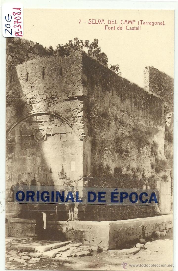 Postcards: (PS-37081)POSTAL DE SELVA DEL CAMP-FONT DEL CASTELL