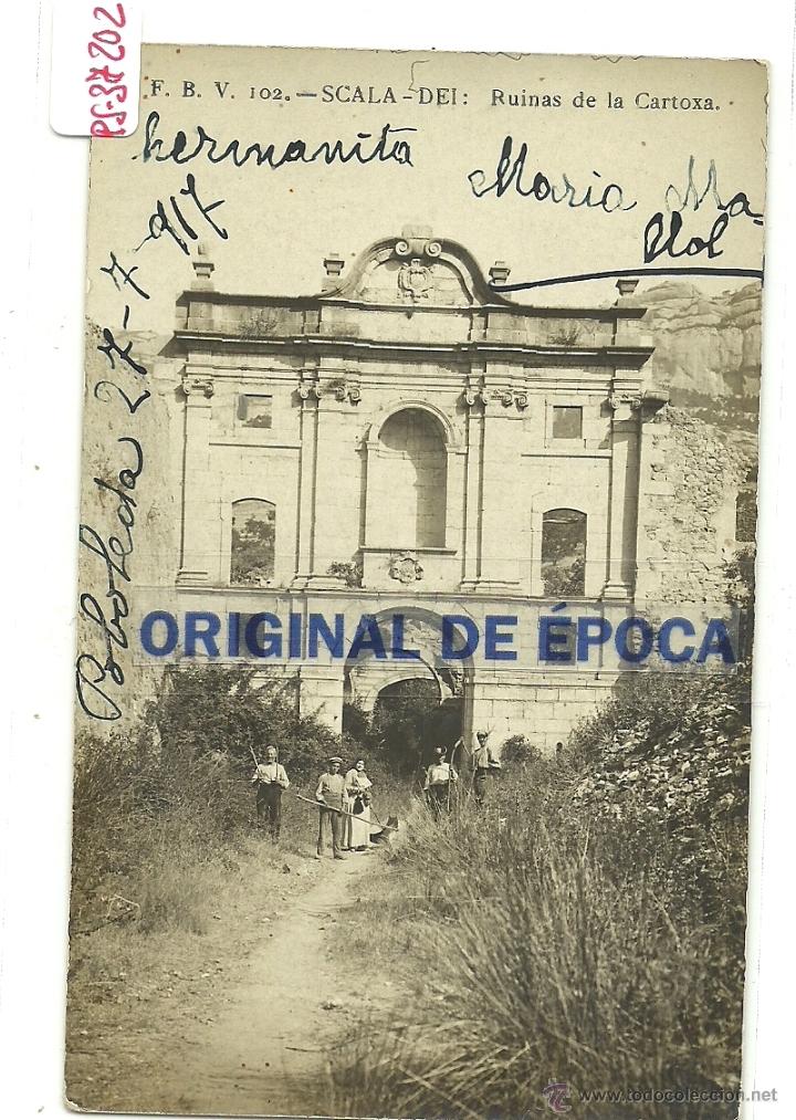Postcards: (PS-37202)POSTAL FOTOGRAFICA DE SCALA-DEI-RUINAS DE LA CARTOXA