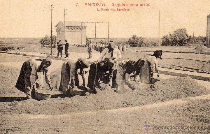 Postales: amposta. 7 sequ&eacute;rs per a arr&ograve;s. roisin - Foto 1