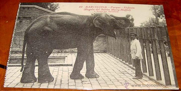 Postkarten: ANTIGUA POSTAL DE BARCELONA-PARQUE, ELEFANTE, REGALO DEL SULTAN MULEY-HAFFID- L.ROISIN- NO CIRCULADA