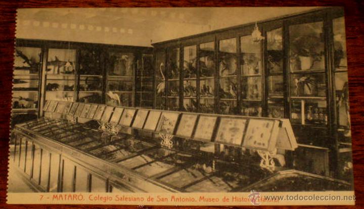 Postales: ANTIGUA POSTAL DE MATARO - N. 7 - COLEGIO SALESIANO DE SAN ANTONIO - MUSEO DE HISTORIA NATURAL - NO