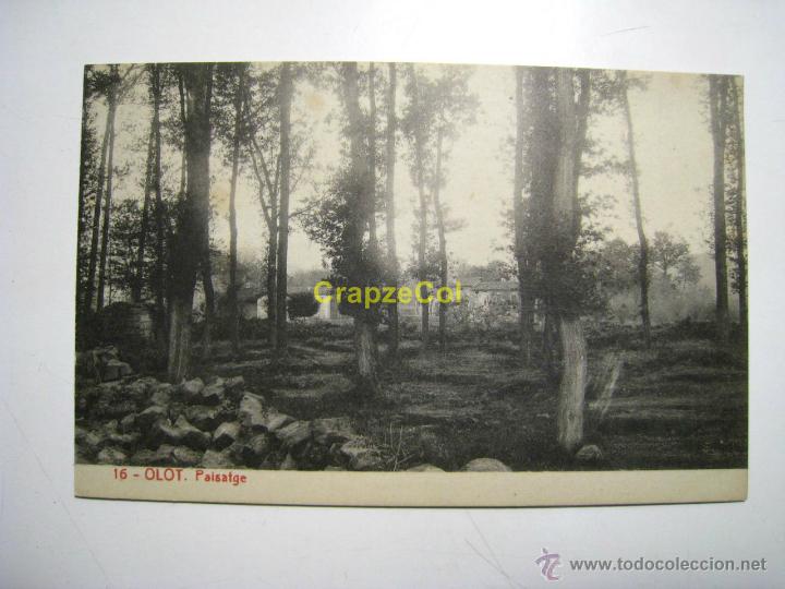 Postales: OLOT: PAISATGE (16) - POSTAL - Foto 1