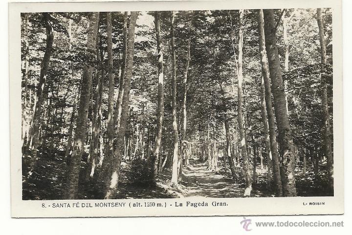 Postales: SANTA FE DEL MONTSENY, LA FAGEDA GRAN N&ordm; 8, L. ROISIN