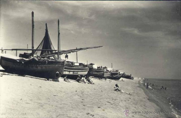 Postales: PINEDA (BARCELONA).- PLAYA - Foto 1