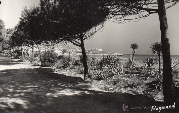 Postales: altafulla. 14 la playa. raymond - Foto 1